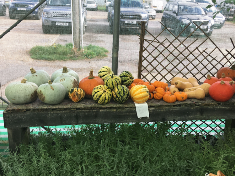 Screen Shot 2018-10-14 at 2.22.51 pm